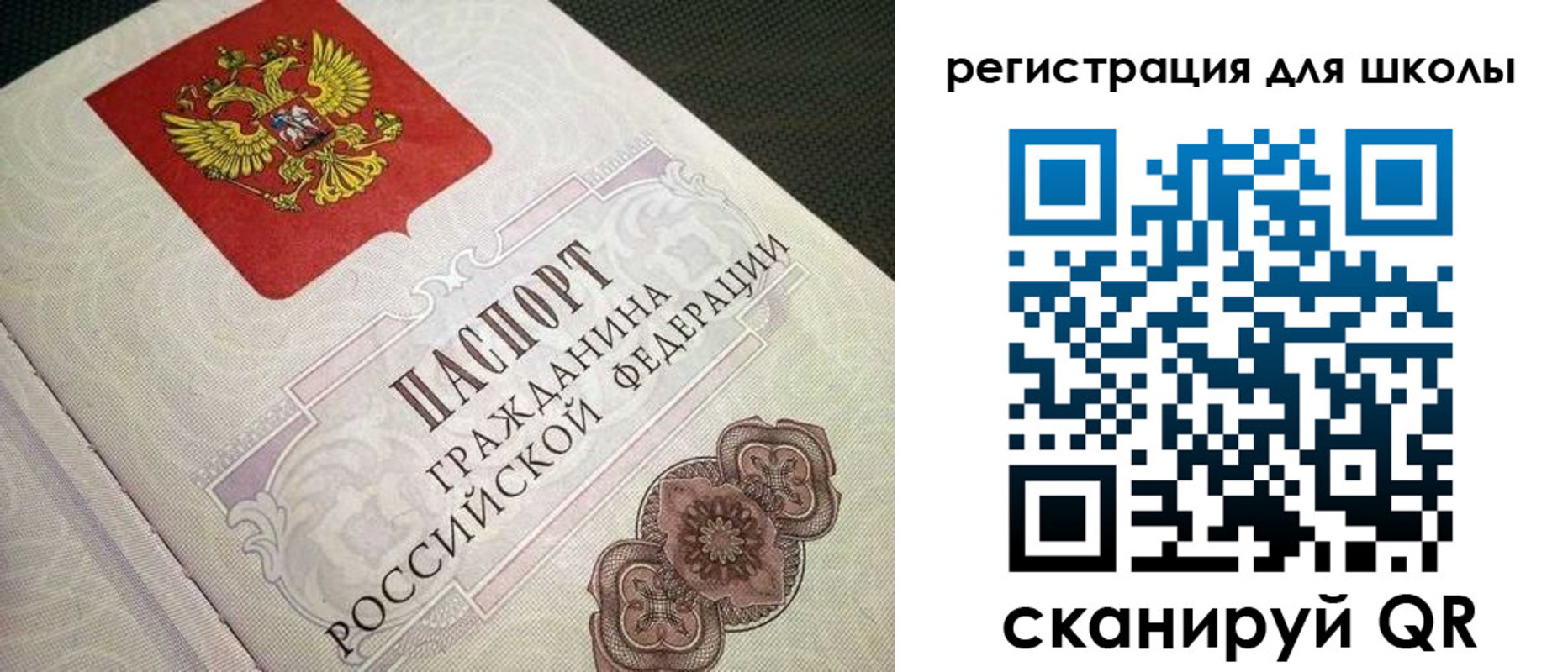 прописка паспорт в Полярных Зорях